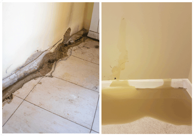 Slab Leak Damage